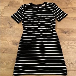 Loft black and white dress, NWT
